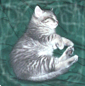 1 month old